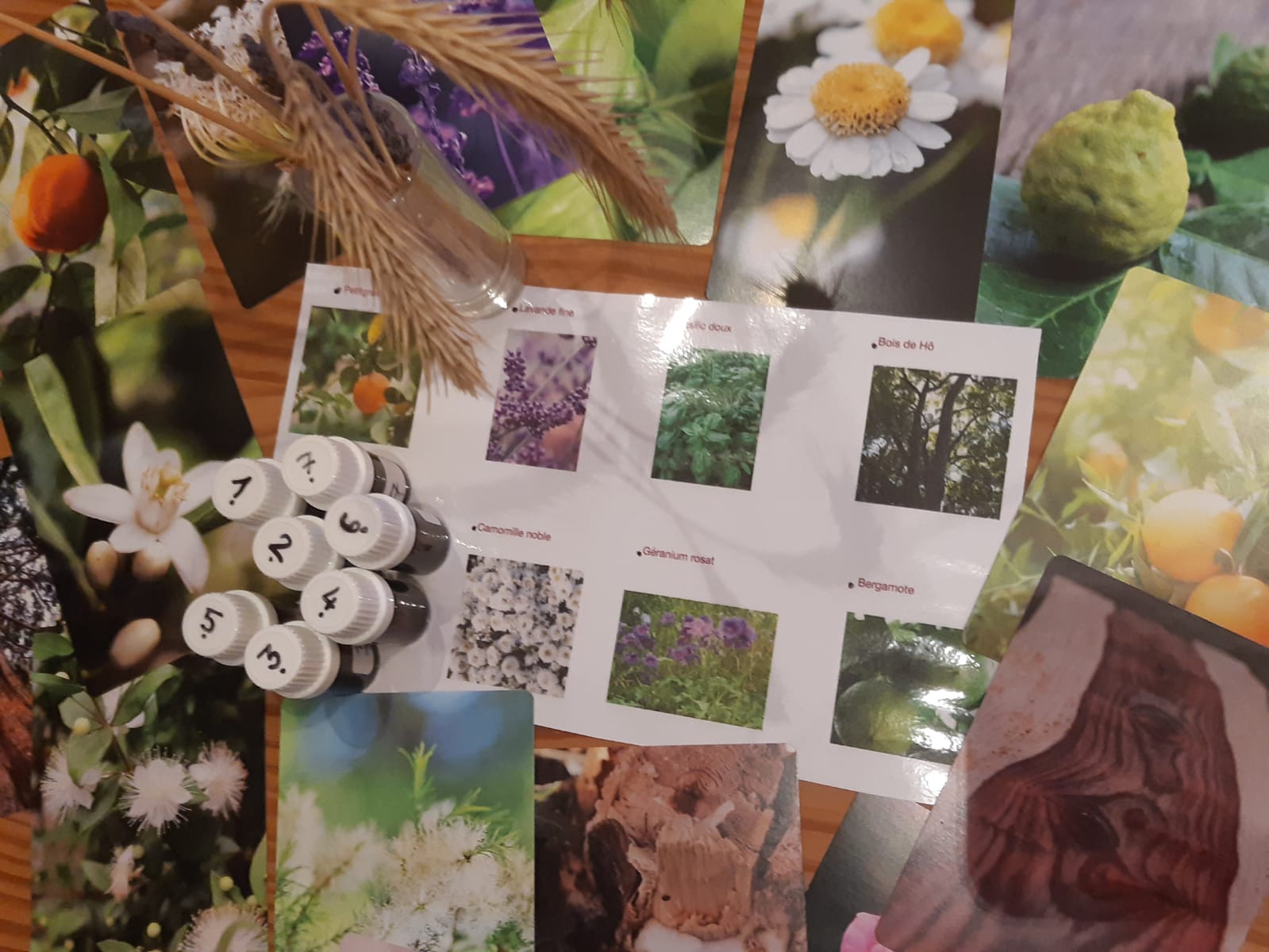Atelier sensoriel en extérieur : enfants explorant plantes et parfums du jardin durant les vacances